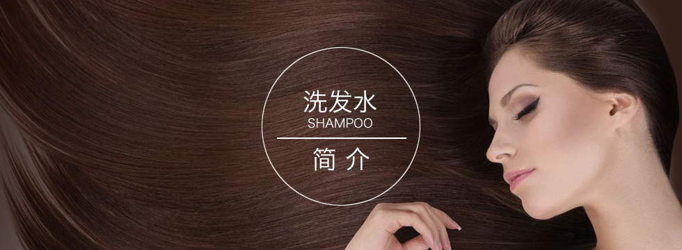 洗發(fā)水系列產(chǎn)品介紹